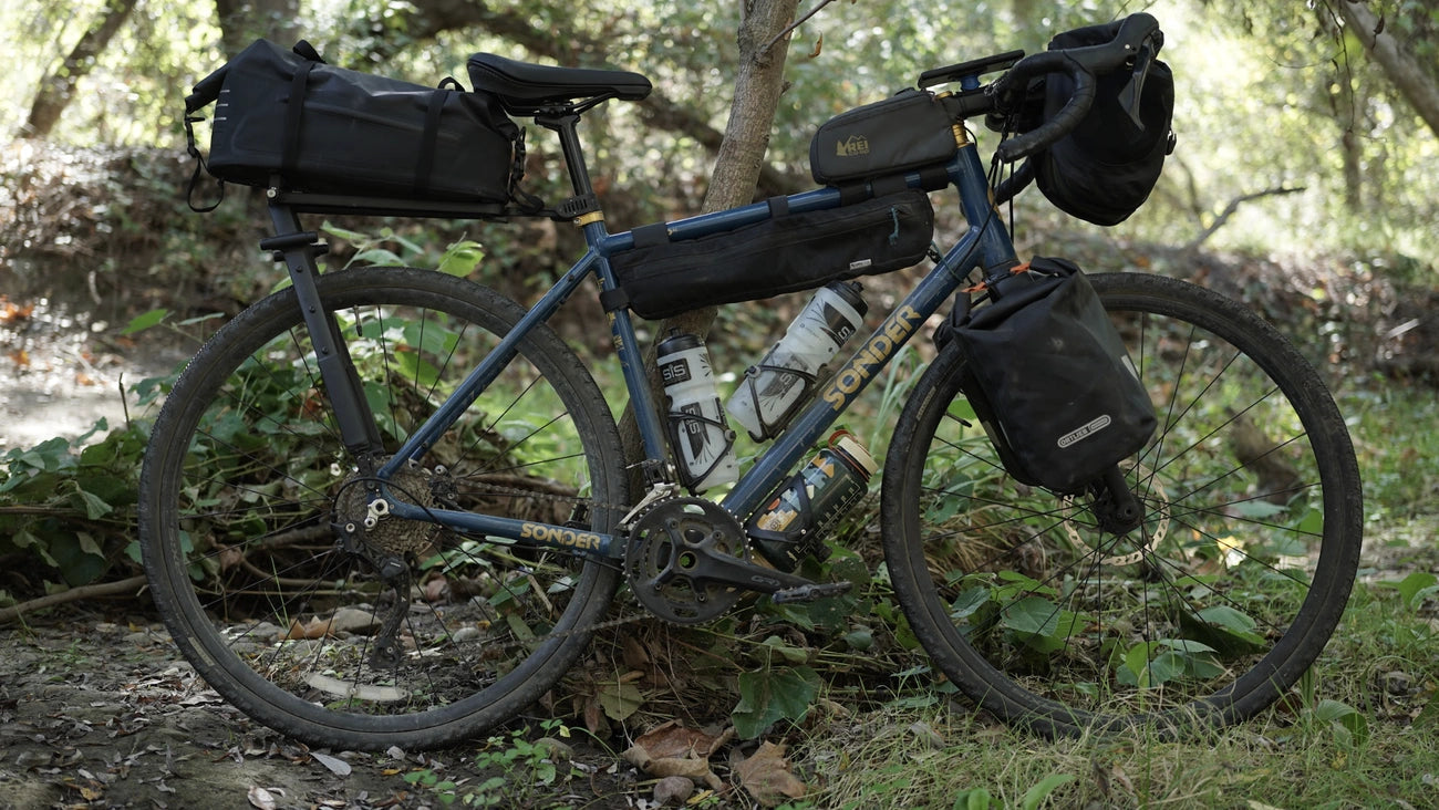 A touring bike loaded with bags parked in a forest setting.